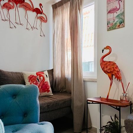 شقة Flamingo سيسيمبرا المظهر الخارجي الصورة